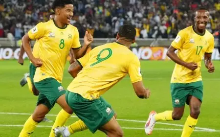 جنوب إفريقيا توسع الفارق في الصدارة وتهدد تأهل نيجيريا للمونديال