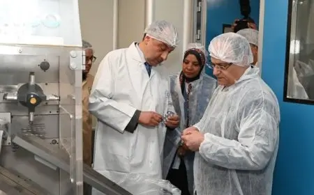 وزير قطاع الأعمال: تعزيز القدرات الإنتاجية والتنافسية للشركات وفق المعايير العالمية وزيادة الصادرات