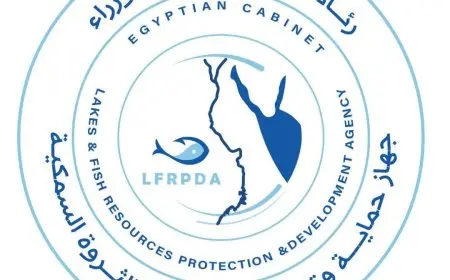 جهاز تنمية الثروة السمكية: إنتاج 42 طنًا من الأسماك بمزرعة الزاوية في كفر الشيخ