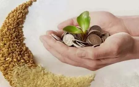 زكاة الفطر فلوس أم طعام؟.. الدكتور سيد نجم يوضح