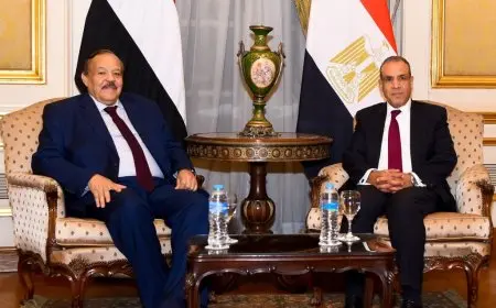 وزير الخارجية يعرب عن موقف مصر الداعي لاحترام سيادة ووحدة وسلامة أراضي السودان