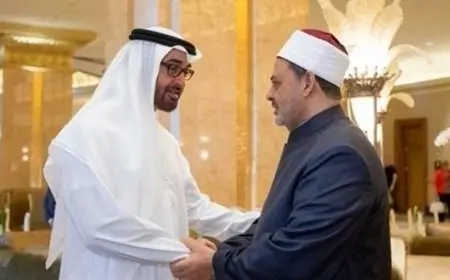 رئيس الإمارات يجري اتصالًا هاتفيًا بشيخ الأزهر للاطمئنان على صحته