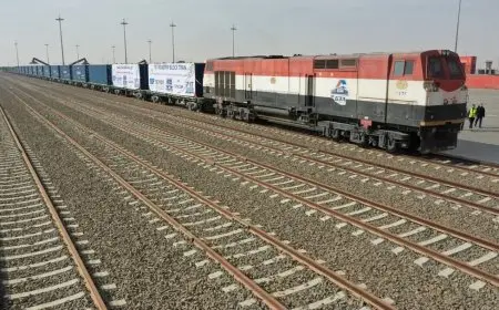 النقل تطرح عدد 4 موانىء جافة بالسادات وبرج العرب وسوهاج وأبوسمبل للاستثمار