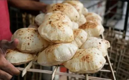 شعبة المخابز: انتظام العمل لإنتاج الخبز المدعم خلال أيام عيد الفطر