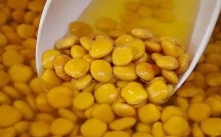 فوائد مذهلة لتناول الترمس فى العيد.. يخلصك من الإمساك والدهون والكوليسترول