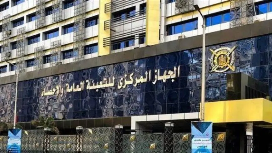 الإحصاء: 16% تمثيل المرأة في الحكومة المصرية عام 2024
