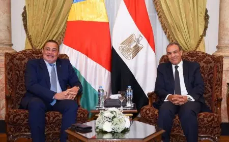 وزير الخارجية ونظيره السيشلي يعربان عن تطلعهما لتعزيز آفاق التعاون السياحي