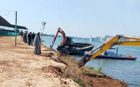 الري: إزالة 87 ألف حالة تعدي على مجرى نهر النيل منذ عام 2015