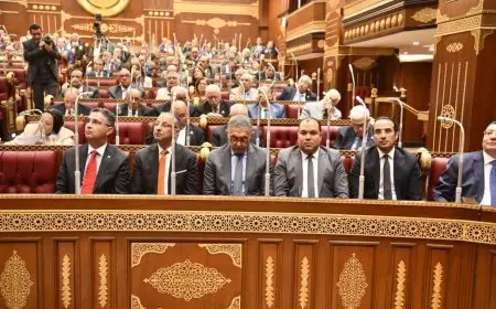 وزير التموين: استمرار دعم أكثر من 62 مليون مواطن بالمنظومة و69 مليون بمنظومة الخبز