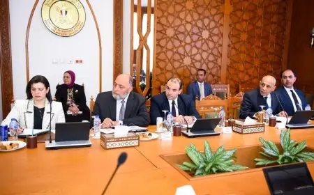 وزير الخارجية يوجه بضرورة الحفاظ على الشكل العام لمباني السفارات والقنصليات