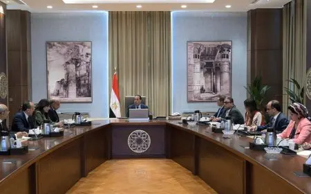 رئيس الوزراء يتابع موقف الطروحات في قطاع الطاقة