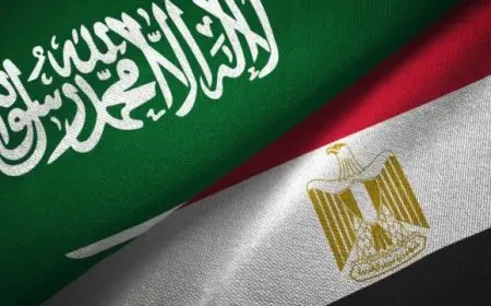 وزيرا خارجية مصر والسعودية يبحثان جهود وقف إطلاق النار في غزة خلال اتصال هاتفي