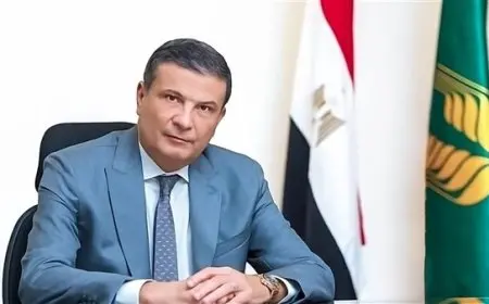 الزراعة: 3.1 مليون فدان المساحة المنزرعة بالقمح والإنتاجية المتوقعة حوالى 10 مليون طن