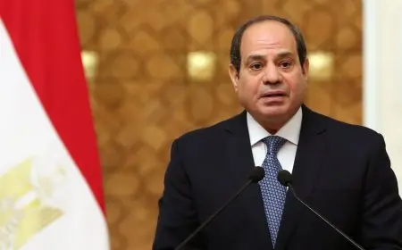 الرئيس السيسي: نرفض أي دعوات لتهجير الفلسطينيين من أرضهم