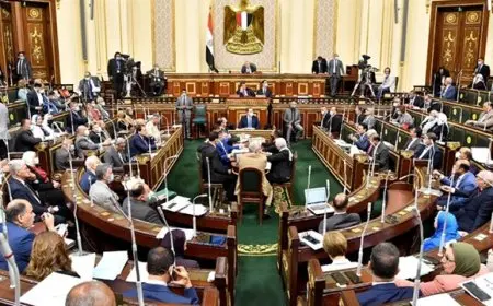 نائب رئيس حزب المؤتمر: تظاهرة المصريين أمام معبر رفح أثناء زيارة ماكرون تعبر عن رفض قوي للتهجير