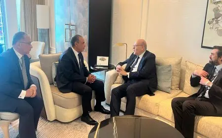 وزير الخارجية يؤكد دعم مصر التام للرئيس اللبناني جوزيف عون وحكومته