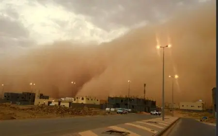 الأرصاد تحذر من أجواء رملية وردية بفعل الرياح الجنوبية.. تنبيهات وإرشادات
