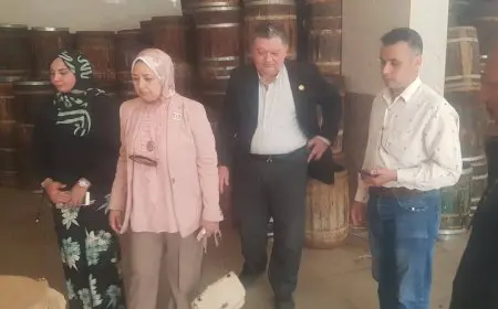 محافظ الدقهلية: مصادرة وإعدام 550 كيلو فسيخ خلال حملة صحية