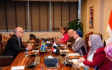 وزيرة البيئة تستعرض مع السفير السويدي في القاهرة سبل تعزيز التعاون الثنائي في مجال التحول الأخضر