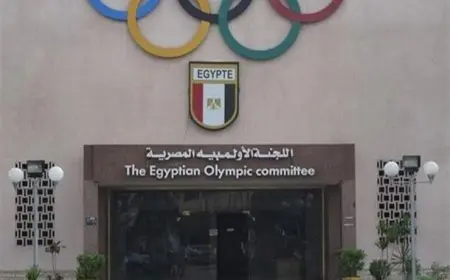 أمين اللجنة الأولمبية: تعديل قانون الرياضة سيساهم في حل العديد من الأزمات