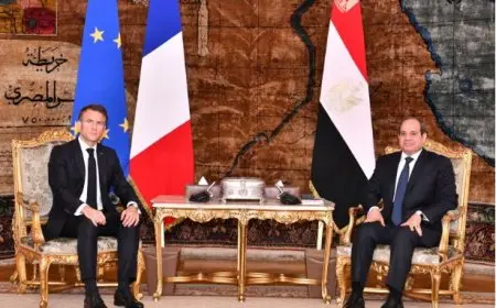 رضا فرحات: زيارة ماكرون لمصر كانت مليئة بالرسائل السياسية والإنسانية العميقة