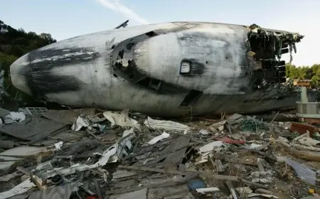 تحطم طائرة خفيفة في فلوريدا يؤدي إلى وفاة 3 أشخاص