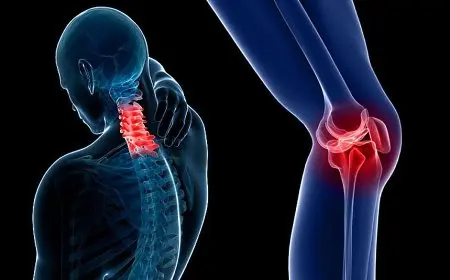 حسام موافي يشرح أهمية نخاع العظم في الجسم