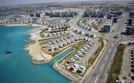 رئيس الوزراء يستفسر عن حالة تسليم الوحدات في مدينة العلمين الجديدة