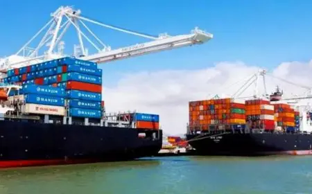 الإحصاءات تشير إلى زيادة قدرها 9.1٪ في صادرات مصر إلى التجمعات الدولية خلال عام 2024