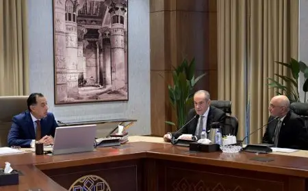 رئيس الوزراء يتباحث مع «المنصور للسيارات» بشأن خطة إنشاء مصنع جديد في أكتوبر