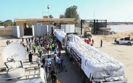 استمرار فتح ميناء رفح البري لليوم السابع والعشرين على التوالي