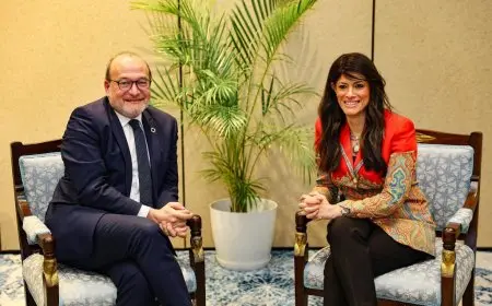 وزيرة التخطيط تبحث آفاق العلاقات المصرية الفرنسية مع مدير الوكالة الفرنسية للتنمية