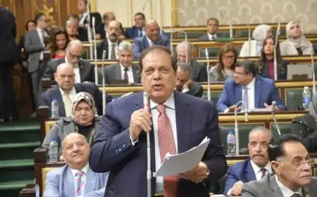 أبو العينين: أعتز بكوني مصريًا وانتمائي للبرلمان المصري