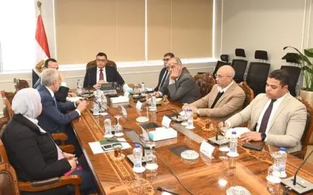 وزير الإسكان يقدم عرضاً لمشروعات “سور مجرى العيون” بالتعاون مع المكتب الاستشاري