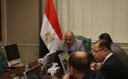 وزير الكهرباء يناقش مع مسؤولي المفوضية الأوروبية آليات تعزيز التعاون في مجالات الطاقة المتجددة