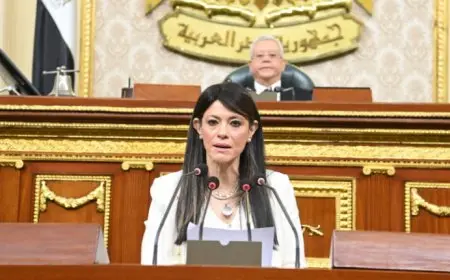 المشاط: استثمارات عامة تصل إلى 327 مليار جنيه مخصصة لقطاعات الصحة والتعليم والبحث العلمي والخدمات ضمن خطة 25/2026