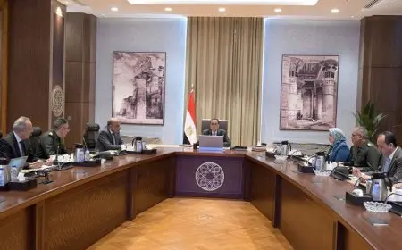 رئيس الوزراء يتابع تقدم توصيل المرافق لمشروعات الاستصلاح الزراعي في “الدلتا الجديدة”