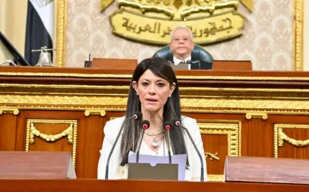 المشاط: استثمارات عامة بقيمة 17.5 مليار جنيه مخصصة للزراعة والري في خطة العام المالي المقبل