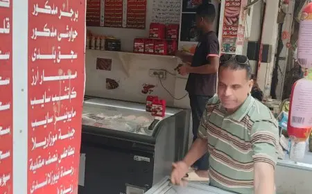 محافظ الجيزة: ضبط 3.5 طن من الأسماك المملحة واللحوم والدواجن الفاسدة