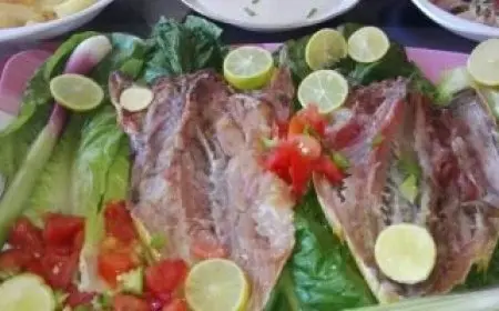 سبع نصائح للحفاظ على صحتك أثناء شراء وتناول الفسيخ