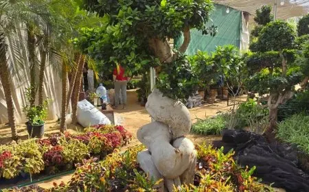 تنظيم معرض زهور الربيع في المتحف الزراعي: التفاصيل