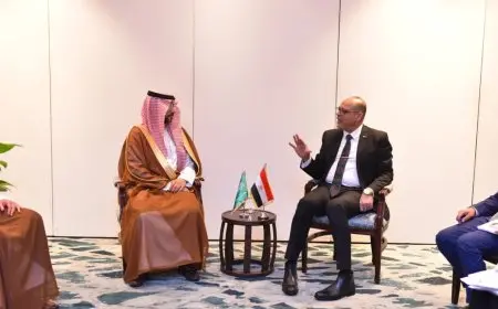 وزير العمل يناقش تفعيل التعاون المشترك مع نائب وزير الموارد البشرية للعمل السعودي