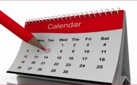 مواعيد الإجازات الرسمية المتبقية حتى نهاية عام 2025.. 10 مناسبات