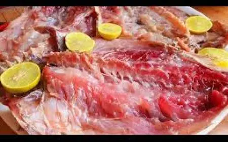 «تحذير من جمال شعبان: تناول الفسيخ في شم النسيم قد يسبب مخاطر على القلب»