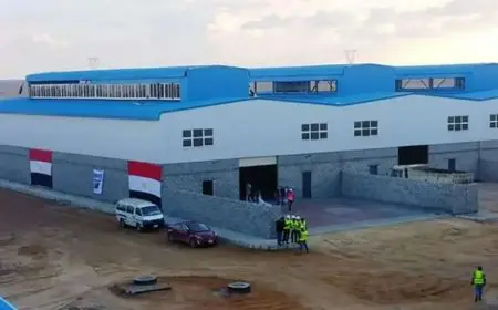 الصناعة: إطلاق وحدات صناعية جاهزة جديدة في قنا والأقصر وأسوان بشكل إلكتروني