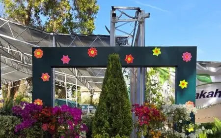 المعرض الزراعي: زهور الربيع 2025 تتألق بألوان الطبيعة في المتحف الزراعي