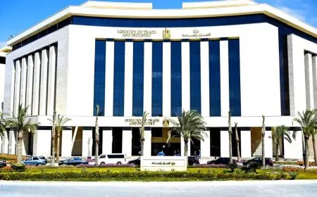 تطبيق “دعم المستثمرين”.. منصة إلكترونية لحل مشكلات الصناعة بسرعة وكفاءة