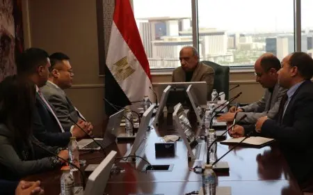 وزير الكهرباء يناقش مع شركة “SUNGROW” الصينية توطين صناعة بطاريات التخزين ومعدات الطاقة المتجددة