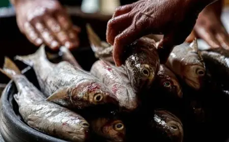 من «سفخ» إلى «فسيخ».. اللغة المصرية القديمة لا تزال تؤثر في مفرداتنا اليومية