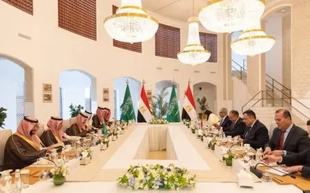 وزير الخارجية يقود وفد مصر في الاجتماع الثنائي مع السعودية بالرياض